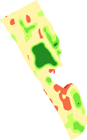 Crop vigour map of the Ras Al Khaimah farm in February