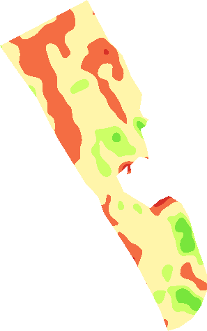 Crop vigour map of the Ras Al Khaimah farm in January