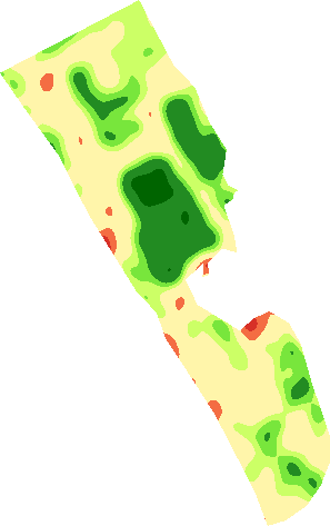 Crop vigour map of the Ras Al Khaimah farm in March