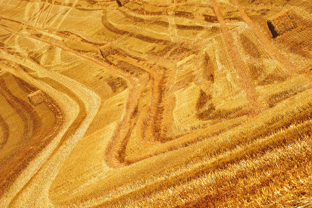 Harvested farmland shaped by working tracks and field boundaries